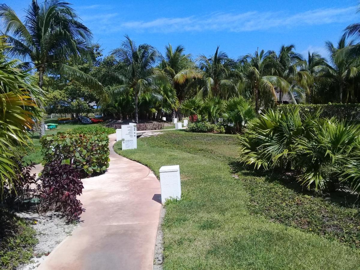 Swim The Caribbean & Work With A View Apartment Cancun Ngoại thất bức ảnh