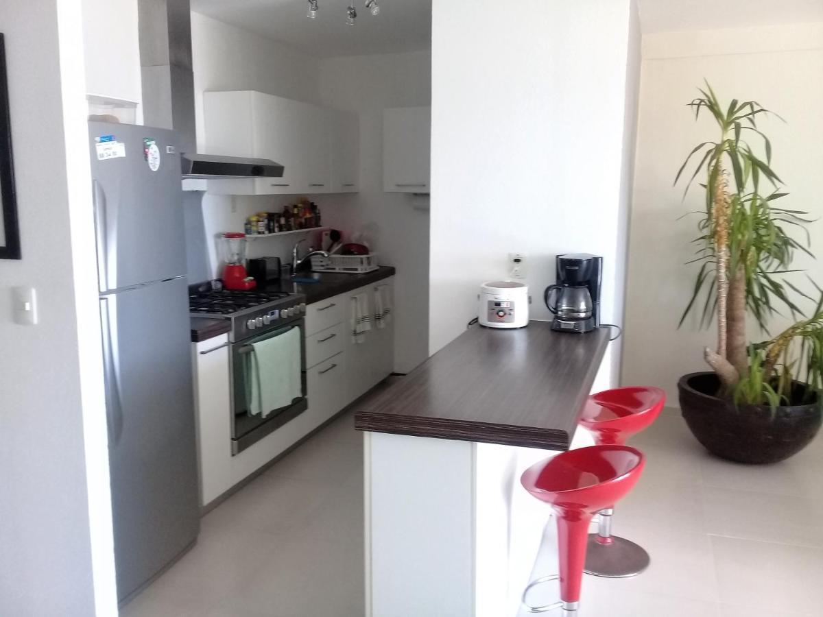 Swim The Caribbean & Work With A View Apartment Cancun Ngoại thất bức ảnh