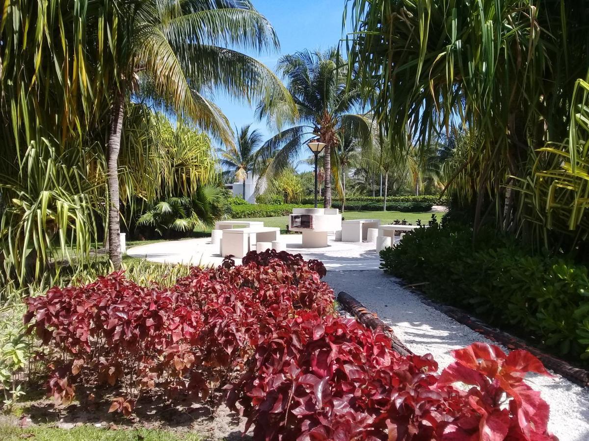 Swim The Caribbean & Work With A View Apartment Cancun Ngoại thất bức ảnh