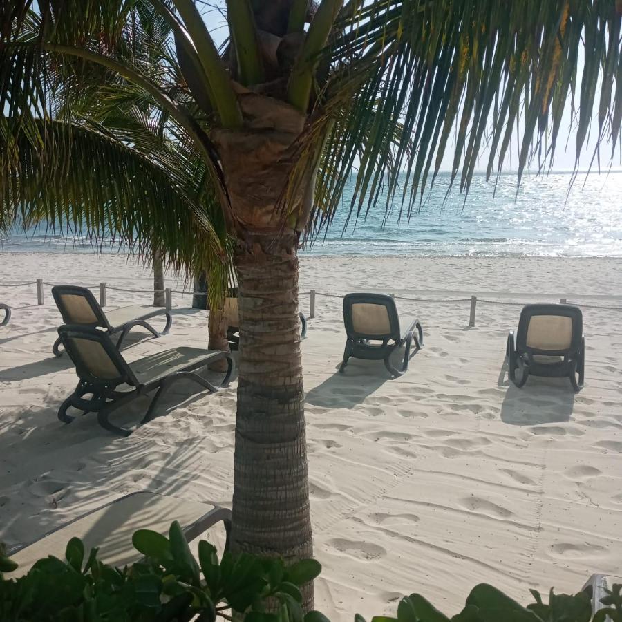 Swim The Caribbean & Work With A View Apartment Cancun Ngoại thất bức ảnh